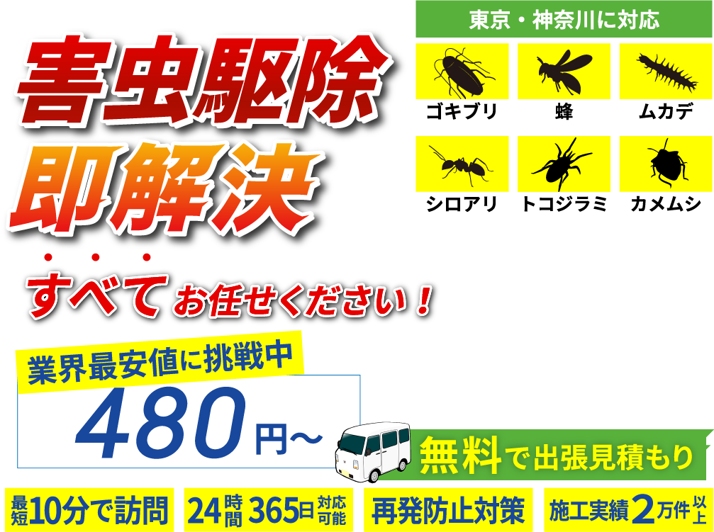 害虫駆除のプロが即解決